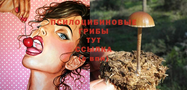 соль ск Абаза