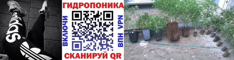 mega как войти  Ясный  Каннабис LSD WEED 